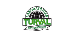 turval logo