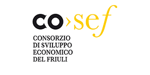 Logo Cosef Consorzio per lo Sviluppo Economico del Friuli