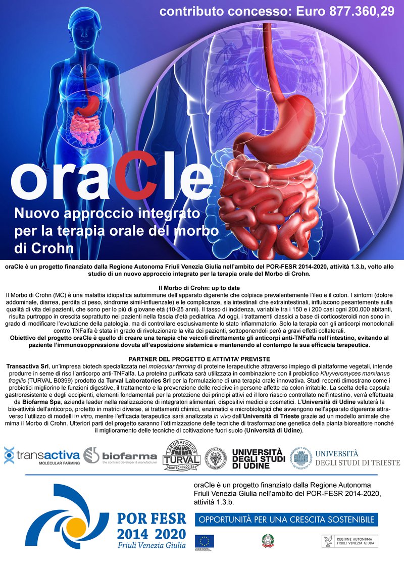 oracle poster